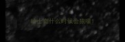 哈士奇什么时候会狼嚎