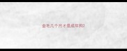 金毛几个月才是成年狗