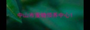 中山市宠物领养中心