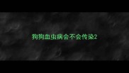 狗狗血虫病会不会传染