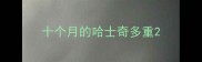 十个月的哈士奇多重