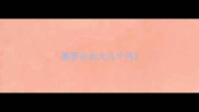 暹罗会长大几个月