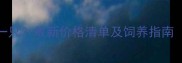 宠物猪多少钱一只最新价格清单及饲养指南附品种对比