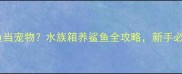 鲨鱼当宠物水族箱养鲨鱼全攻略新手必看