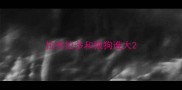 拉布拉多和狼狗谁大