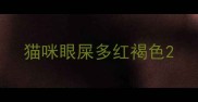 猫咪眼屎多红褐色