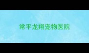 常平龙翔宠物医院