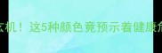 拉布拉多眼睑颜色暗藏玄机这5种颜色竟预示着健康危机新手必看护理指南