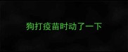 狗打疫苗时动了一下