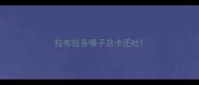 拉布拉多嗓子总卡还吐