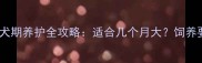 卡斯罗犬幼犬期养护全攻略适合几个月大饲养要点大公开