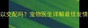 公猫八个月可以交配吗宠物医生详解最佳发情期与健康隐患