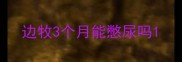 边牧3个月能憋尿吗