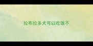 拉布拉多犬可以吃饭不