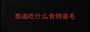 泰迪吃什么食物美毛
