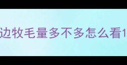 边牧毛量多不多怎么看