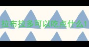 拉布拉多可以吃点什么