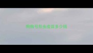 狗狗弓形虫疫苗多少钱