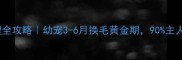 博美换毛期护理全攻略幼宠3-6月换毛黄金期90主人不知道的细节
