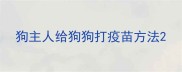 狗主人给狗狗打疫苗方法