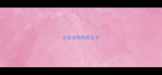 给泰迪狗狗取名字