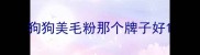 狗狗美毛粉那个牌子好