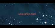 白泰迪和比熊生的狗狗