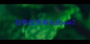 拉布拉多有头皮xue