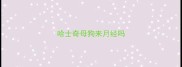 哈士奇母狗来月经吗