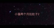 小猫两个月拉肚子