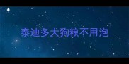 泰迪多大狗粮不用泡