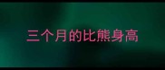 三个月的比熊身高