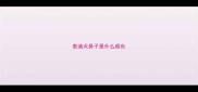泰迪犬鼻子是什么颜色