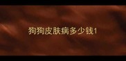 狗狗皮肤病多少钱