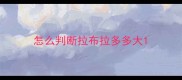 怎么判断拉布拉多多大