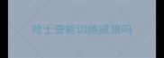 哈士奇能训练成狼吗