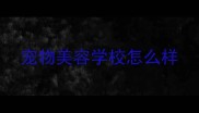 宠物美容学校怎么样