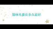 猫咪毛囊炎多久能好