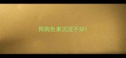 狗狗色素沉淀不好