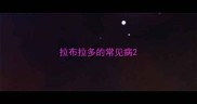 拉布拉多的常见病