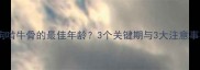 狗狗啃牛骨的最佳年龄3个关键期与3大注意事项