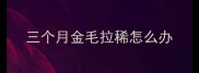 三个月金毛拉稀怎么办