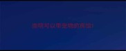 崇明可以带宠物的宾馆