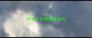 狗每个月需要禁食吗