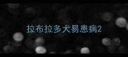 拉布拉多犬易患病