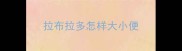拉布拉多怎样大小便