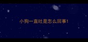 小狗一直吐是怎么回事