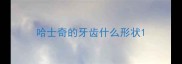 哈士奇的牙齿什么形状