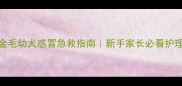 三个月金毛幼犬感冒急救指南新手家长必看护理全攻略