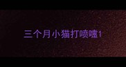 三个月小猫打喷嚏